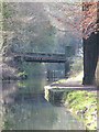 Neath and Brecon Canal at Tonna