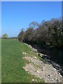 The River Clwyd near Plas-y-Ward