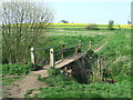 Footbridge On Spring Meadow