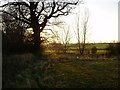 Public footpath to Lubenham at the top of the old track