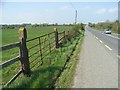 N9670 : Gate Beside the N2 at Thurstianstown. Co. Meath by JP