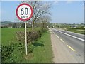 N9672 : Speed Limit Sign South of Slane, Co. Meath by JP