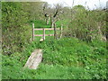 Footbridge and stile into old orchard