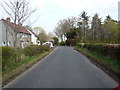 Small group of houses on back road above Hamilton