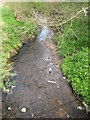 SP0379 : River Rea From Wychall Road Bridge by Roy Hughes