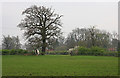 Farmland Near Bentley Heath