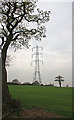 Pylon and Trees