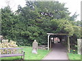 Ancient yew tree in the churchyard at Doveridge