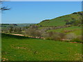 Tir  Amaethyddol ger Dolfach/ Farmland near Dolfach