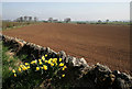 Farmland at Hume