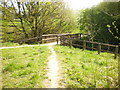 Footpath, Foxhill Bank Nature Reserve