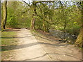 Footpath, Foxhill Bank Nature Reserve