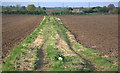 ST8860 : Footpath to Whaddon Grove Farm by Doug Lee