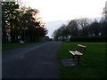 Park benches in Dalmuir Park