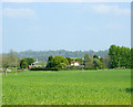 2009 : Freith Farm field