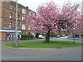 Roundabout on Halhill Road