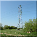 TL5162 : Pylons on Quy Fen by Keith Edkins