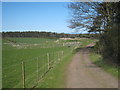 Farm track near Greymare Farm