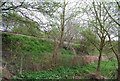 Medway Valley line above the Medway Valley Walk