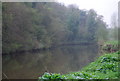 Bydews Wood across the River Medway