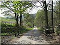 Cattle Grid On Lane Approaching Camp Site