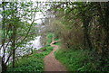 Medway Valley Walk, east of East Farleigh