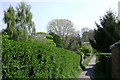 Footpath through allotments, rear of Newburgh Crescent, Warwick