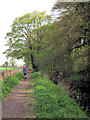 Wendover Arm: Cycling along the towpath