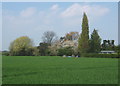 Field and trees