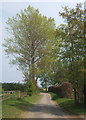 Lane near Shelley Priory Farm