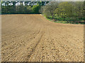 Footpath to Cobham Frith