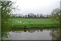 Paddocks, Riverdale Farm, across the Medway