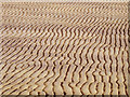 TA4011 : Ripples in the Sand by Andy Beecroft