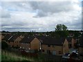 Hogarth Avenue rooftops