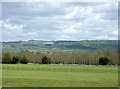 2009 : North east from Manor Road