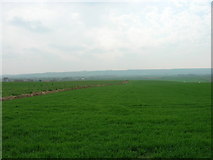 TA0783 : Green Farmland by JThomas