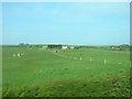 Newbiggin Farmland