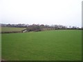 Mid Devon : Field & Countryside