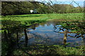 Pond near Llangibby Castle Farm