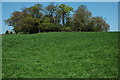 Site of Motte and Bailey, Llangibby