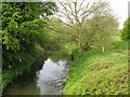 Looking upstream on the Great Stour