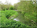 View along the Great Stour near Singleton Lake