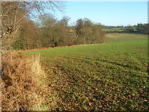 SU6987 : Farmland and woodland edge, Nettlebed by Andrew Smith