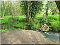 Confluence of a stream and the Great Stour