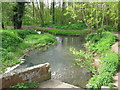 View of the Great Stour from Buxford Mill race