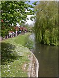 SU1430 : Salisbury, River Avon by Mike Faherty