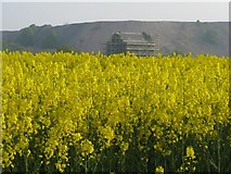 NT0974 : Oil seed rape, Niddry Castle and shale bing by M J Richardson