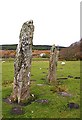 NR7461 : Standing Stones at Carse by Anne Burgess
