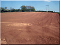 Crop field near The Homestead