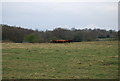 A herd of Cattle, Brickhouse Farm